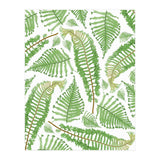 Ferna (Print Only) thumbnail