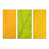 Autumn Leaves (Print Only) thumbnail