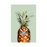 Pineapple Owl (Print Only) thumbnail