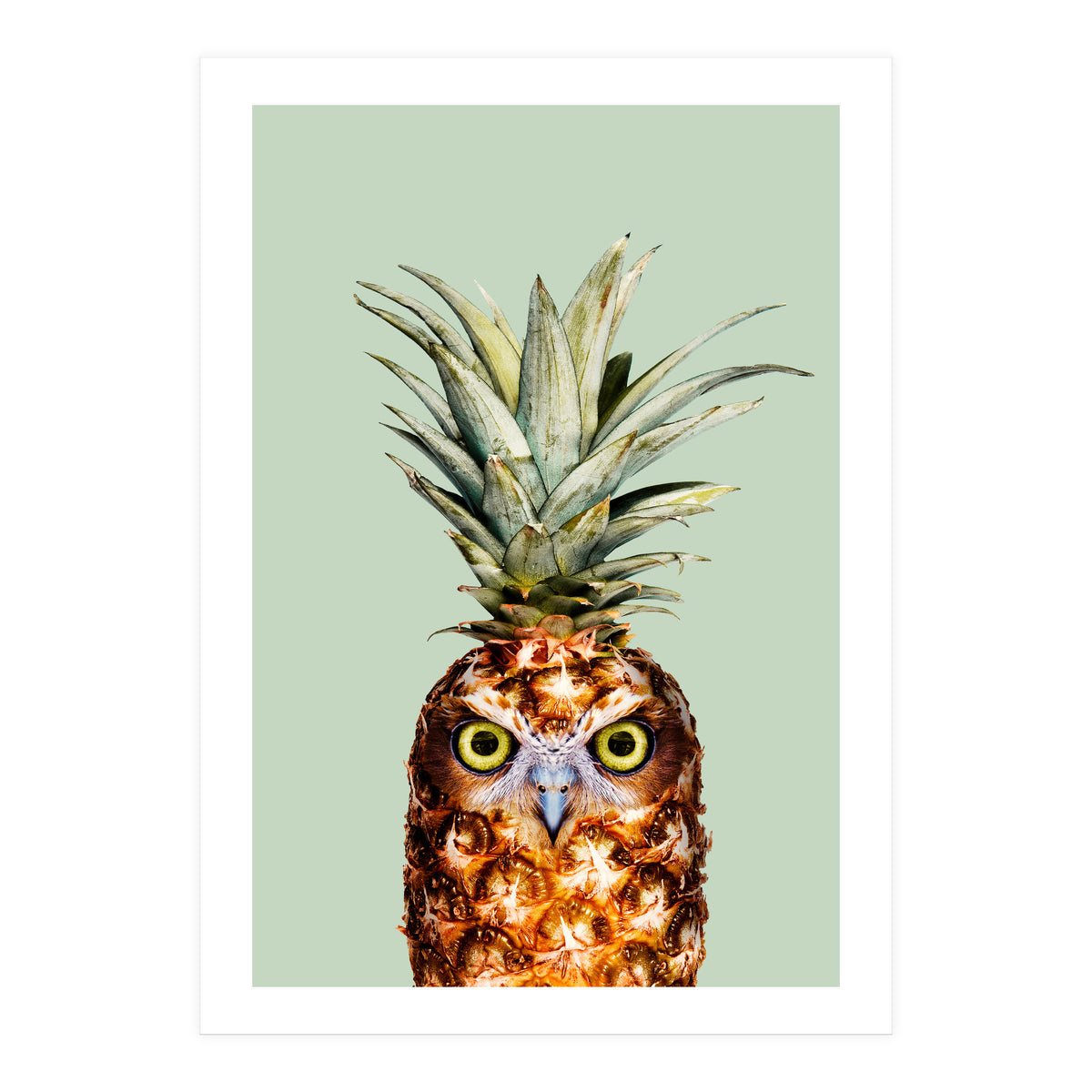 Pineapple Owl (Print Only)