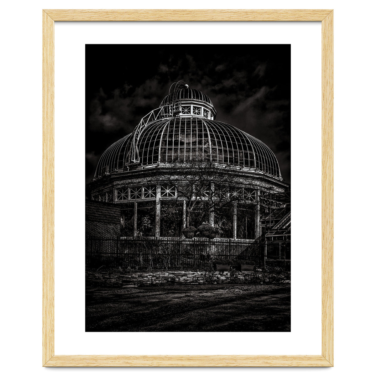 Allan Gardens Conservatory Palm House Toronto Canada No 2