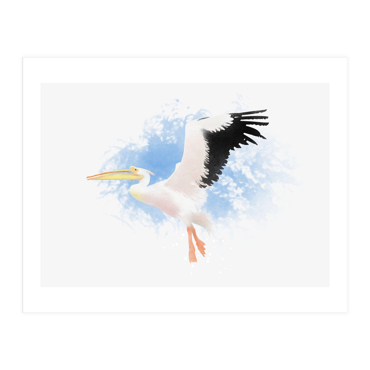 Pelican (Print Only)