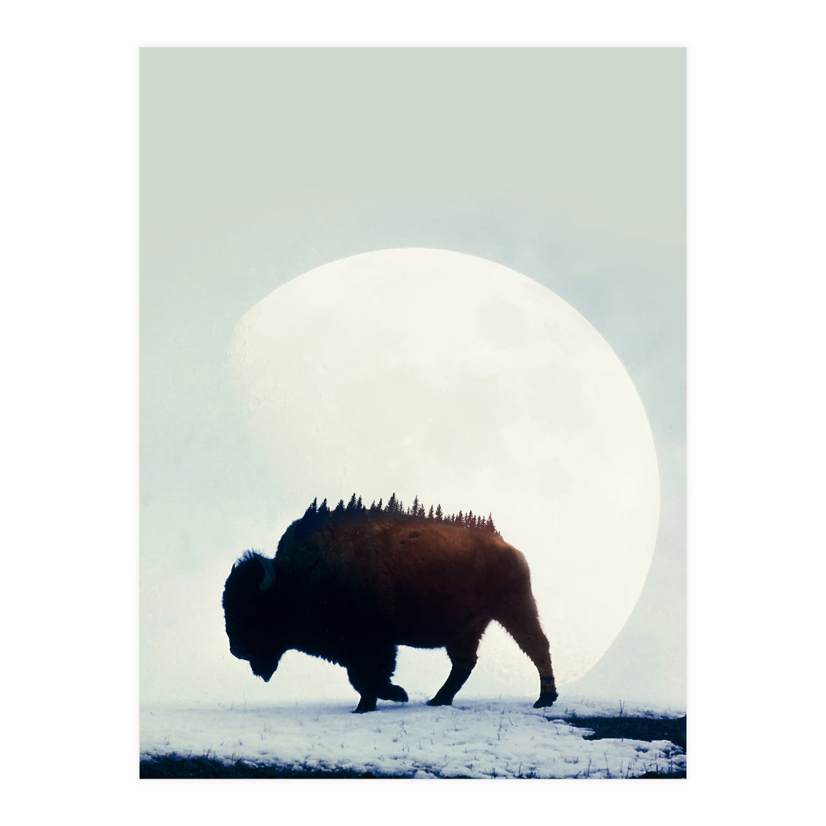 Wild West (Print Only)