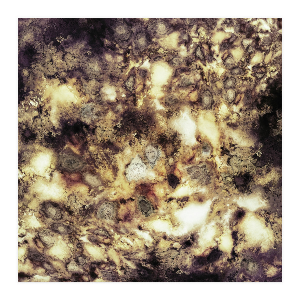 Demolition (Print Only)