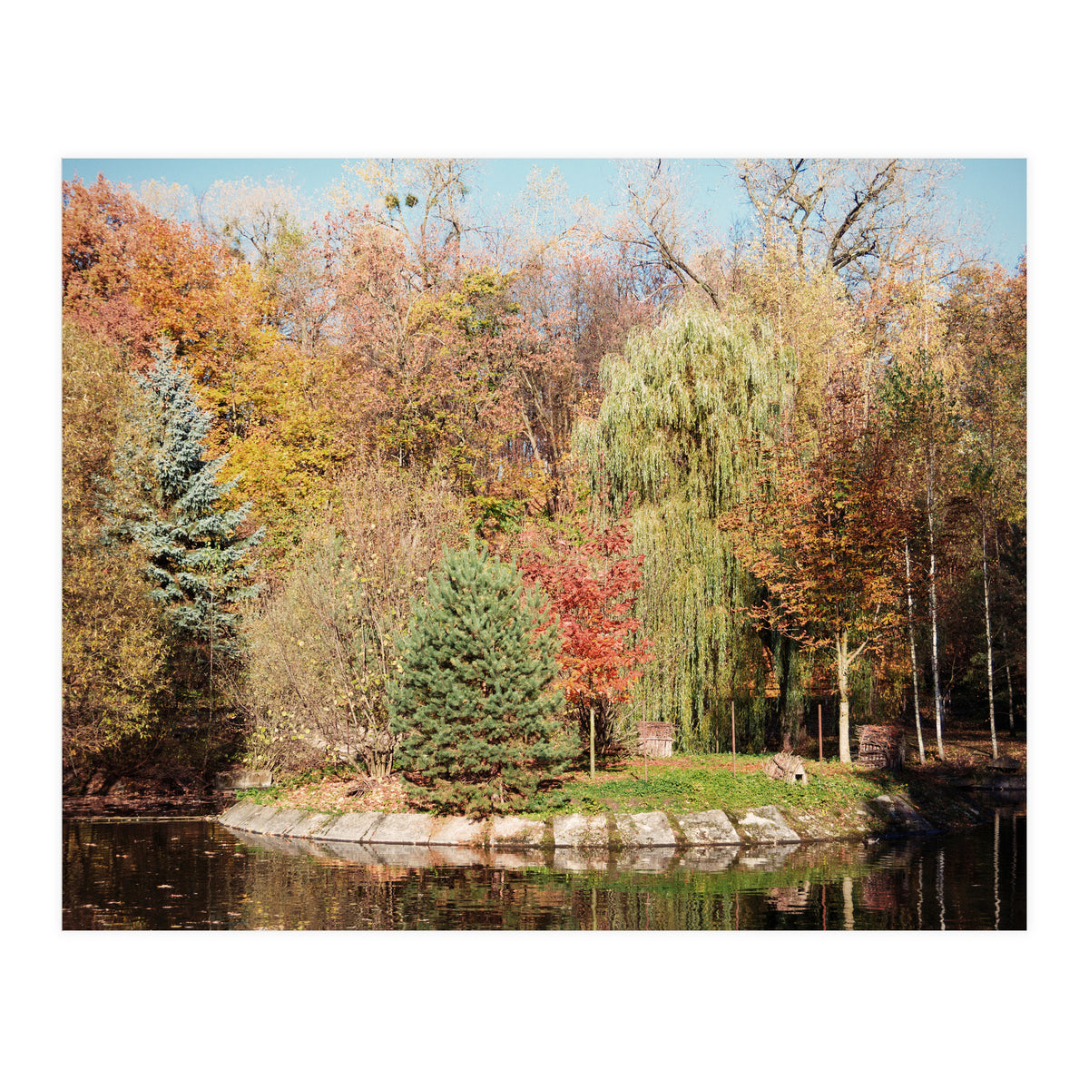 Camouflaged Animals (Print Only)