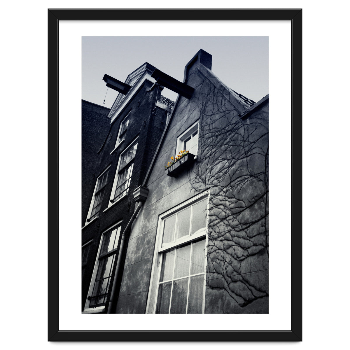 Amsterdam. House With Yellow Flowers.