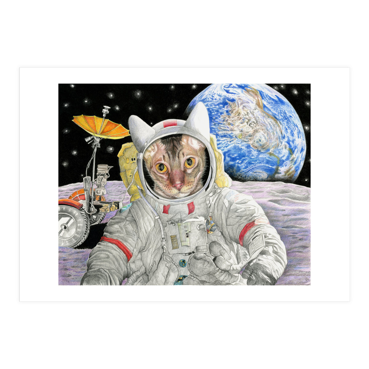 Nasacatadjustcolor (Print Only)