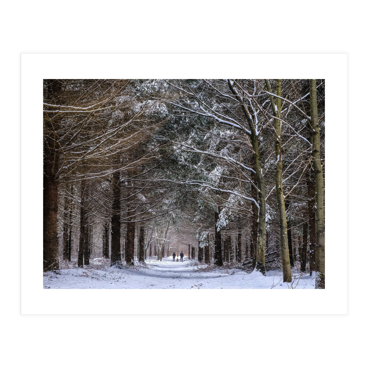 Dog Walkers in the Snow.  Heath Warren - Hampshire (Print Only)