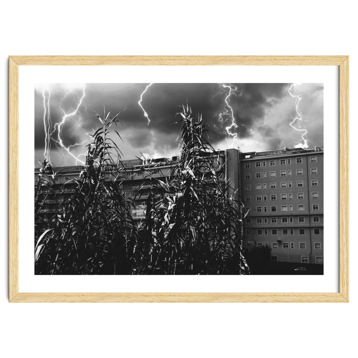 Thunderstorm in Tivoli