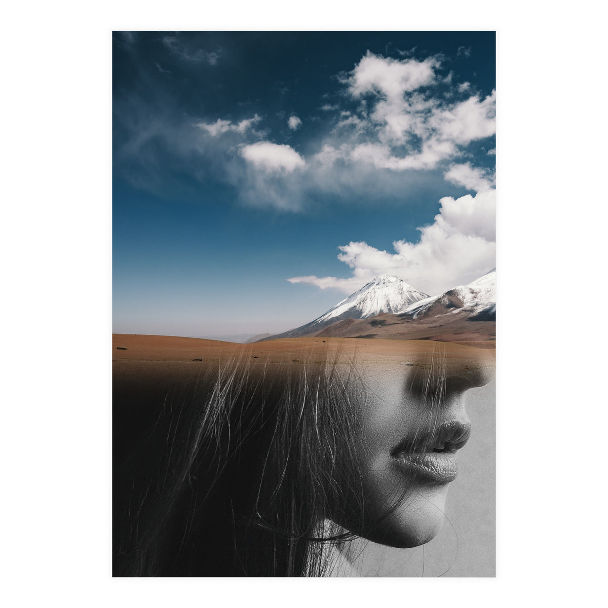 Dream Division 5 (Print Only)