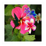 Hummingbird (Print Only) thumbnail