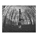 Circle of Growth and decay  (Print Only) thumbnail