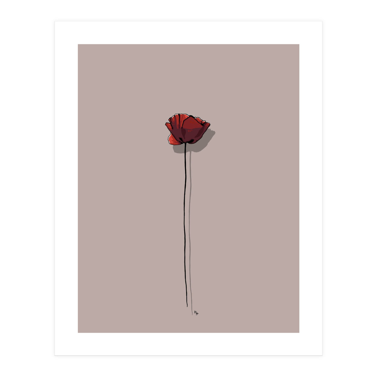 Poppy (Print Only)