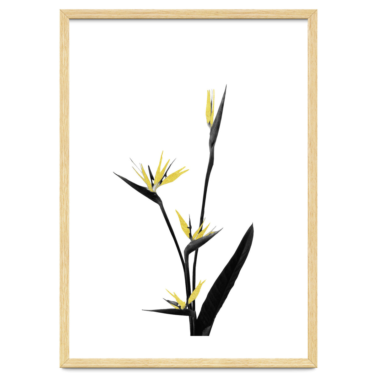 Flower Minimal Black And Gold 05