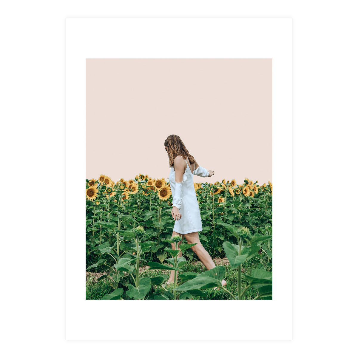 Lost In Sunflowers (Print Only)
