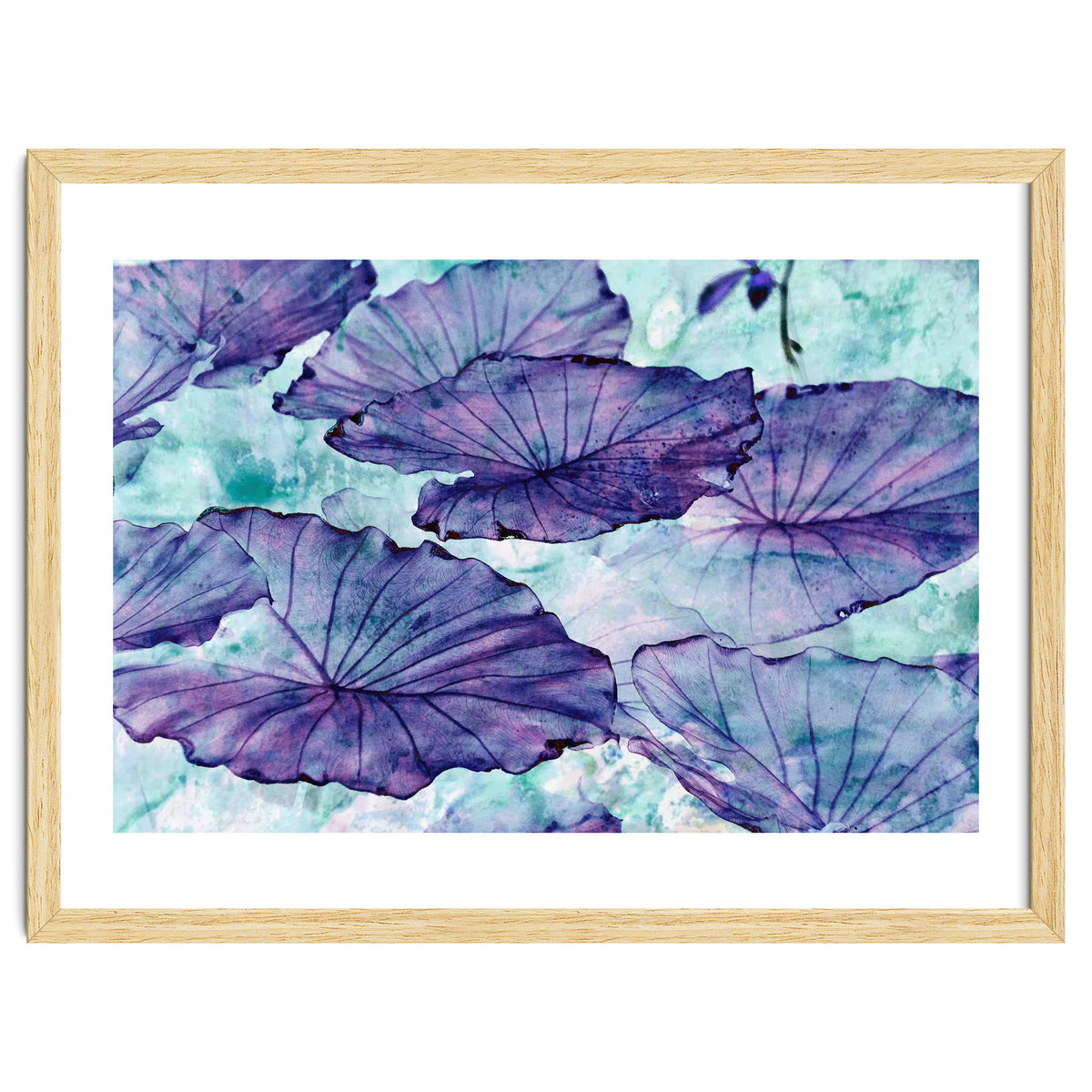 Botanical Surrealism