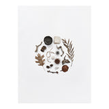 Treasures From Nature No. 2 (Print Only) thumbnail