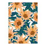 Blush Sunflowers (Print Only) thumbnail