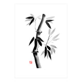 Bamboo 03 (Print Only) thumbnail
