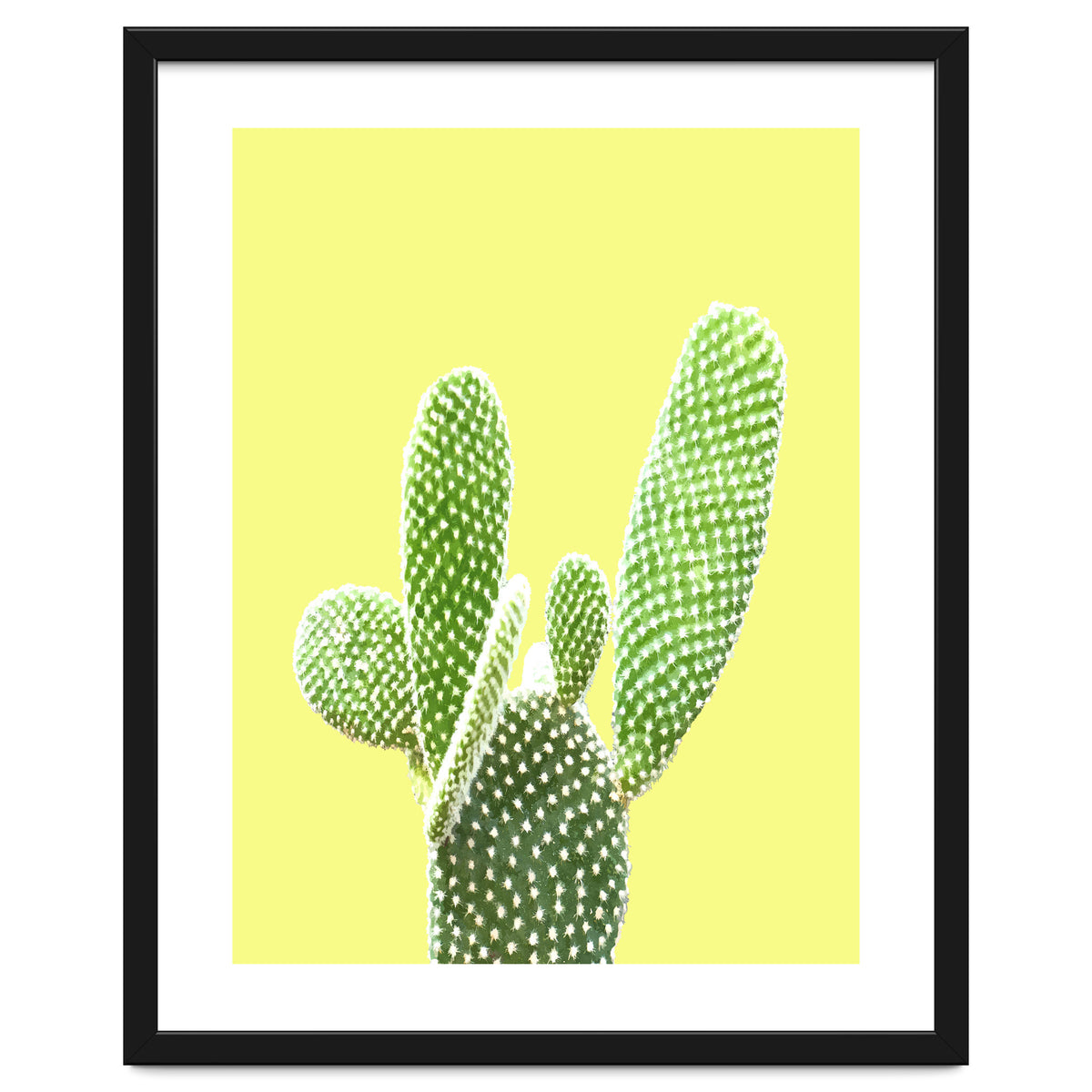 Cactus Yellow Background