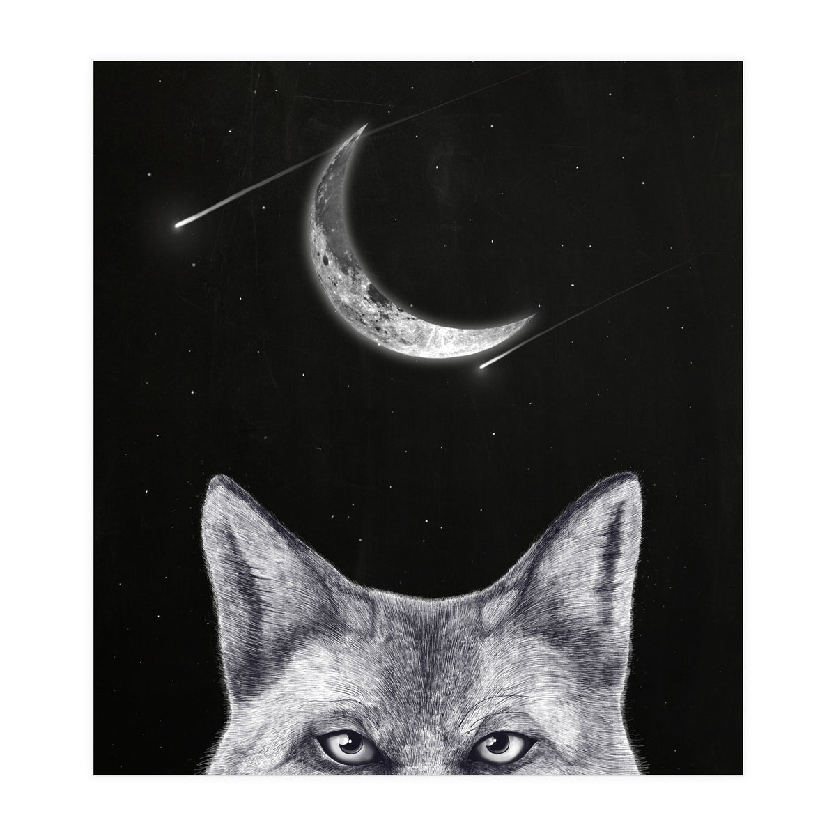 Fox Of The Night (Print Only)