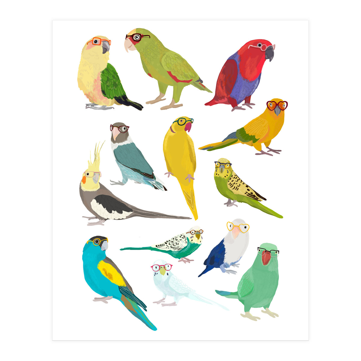 Parrotts in Glasses (Print Only)