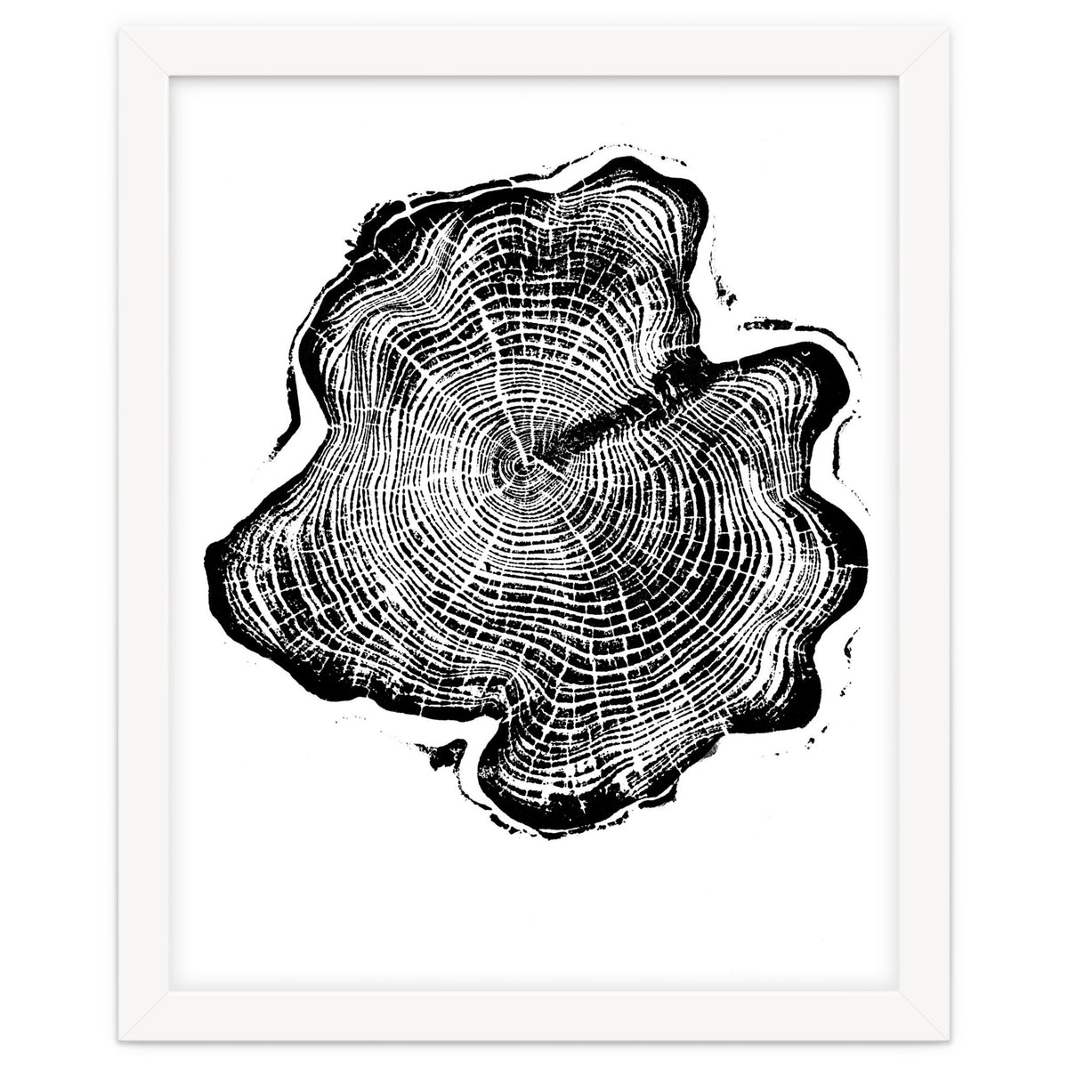 Alaskan Cypress, Tree Ring Art Print, Woodblock