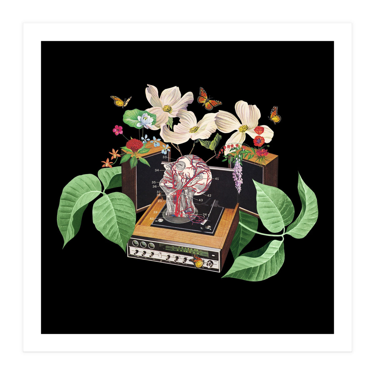 Where Is My Mind (Print Only)