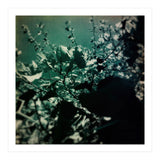 GREEN POEM (Print Only) thumbnail