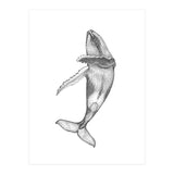 Humpacks no. 2 (Print Only) thumbnail