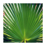 palm leaf (Print Only) thumbnail