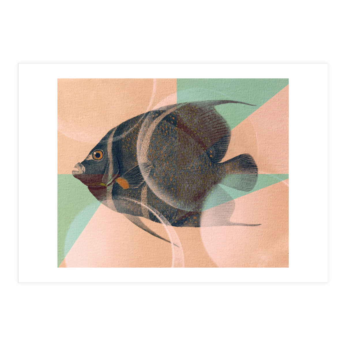 Fish Between Circles 2 (Print Only)