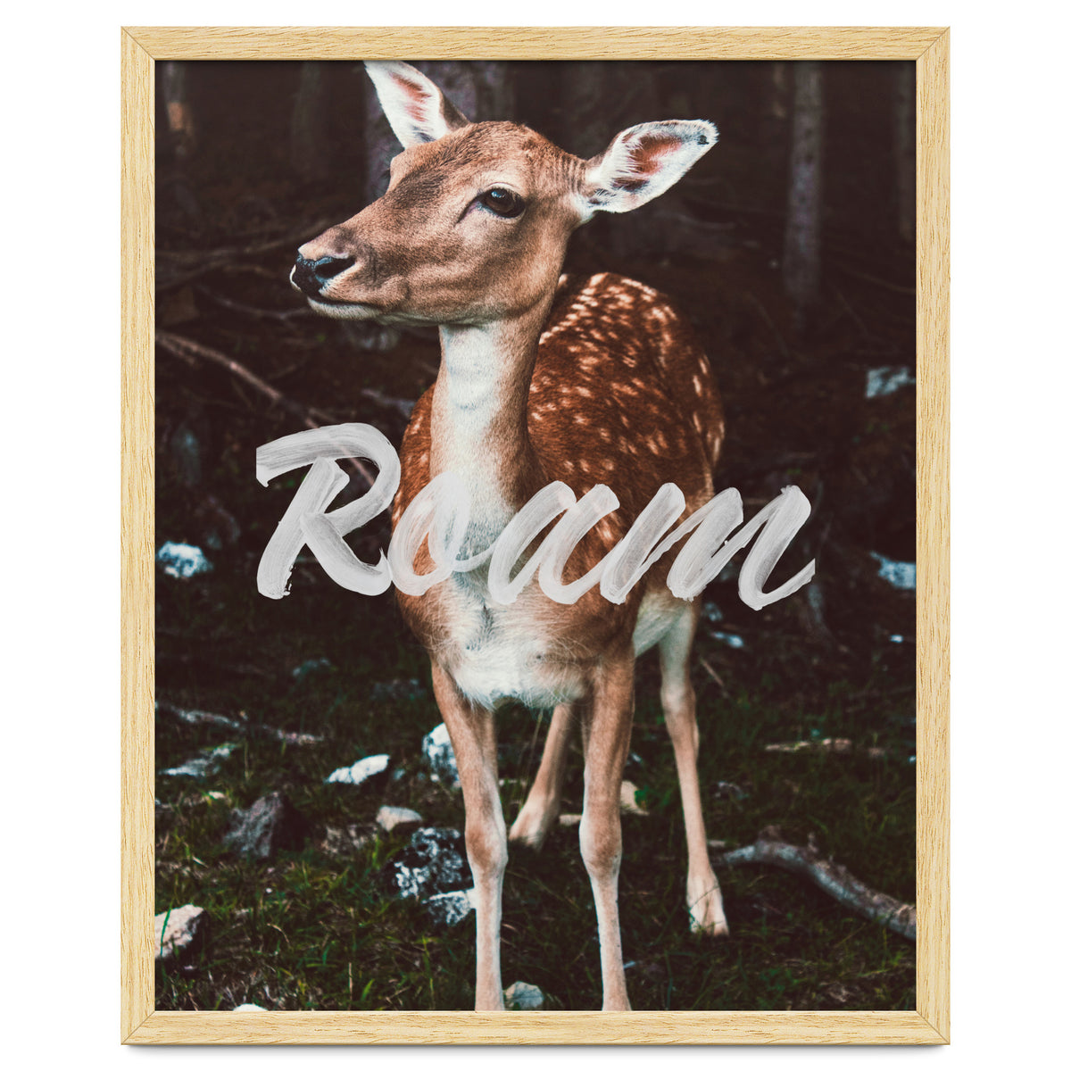 Roam