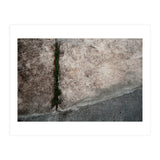Urban #1 (Print Only) thumbnail