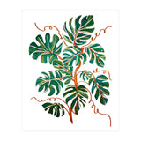Monstera Deliciosa (Print Only) thumbnail