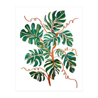 Monstera Deliciosa (Print Only)