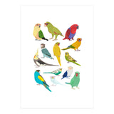 Parrotts in Glasses (Print Only) thumbnail