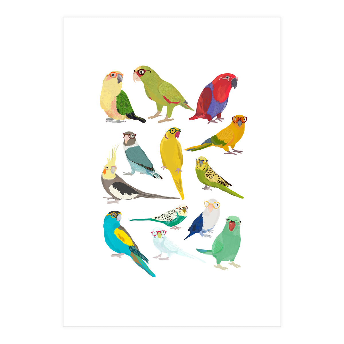 Parrotts in Glasses (Print Only)