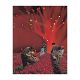 Red King Crab (Print Only) thumbnail