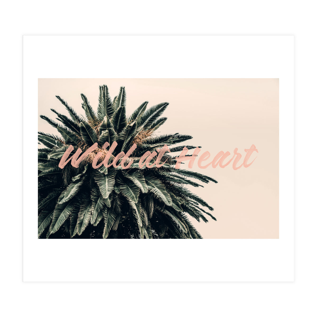 Wild At Heart (Print Only)