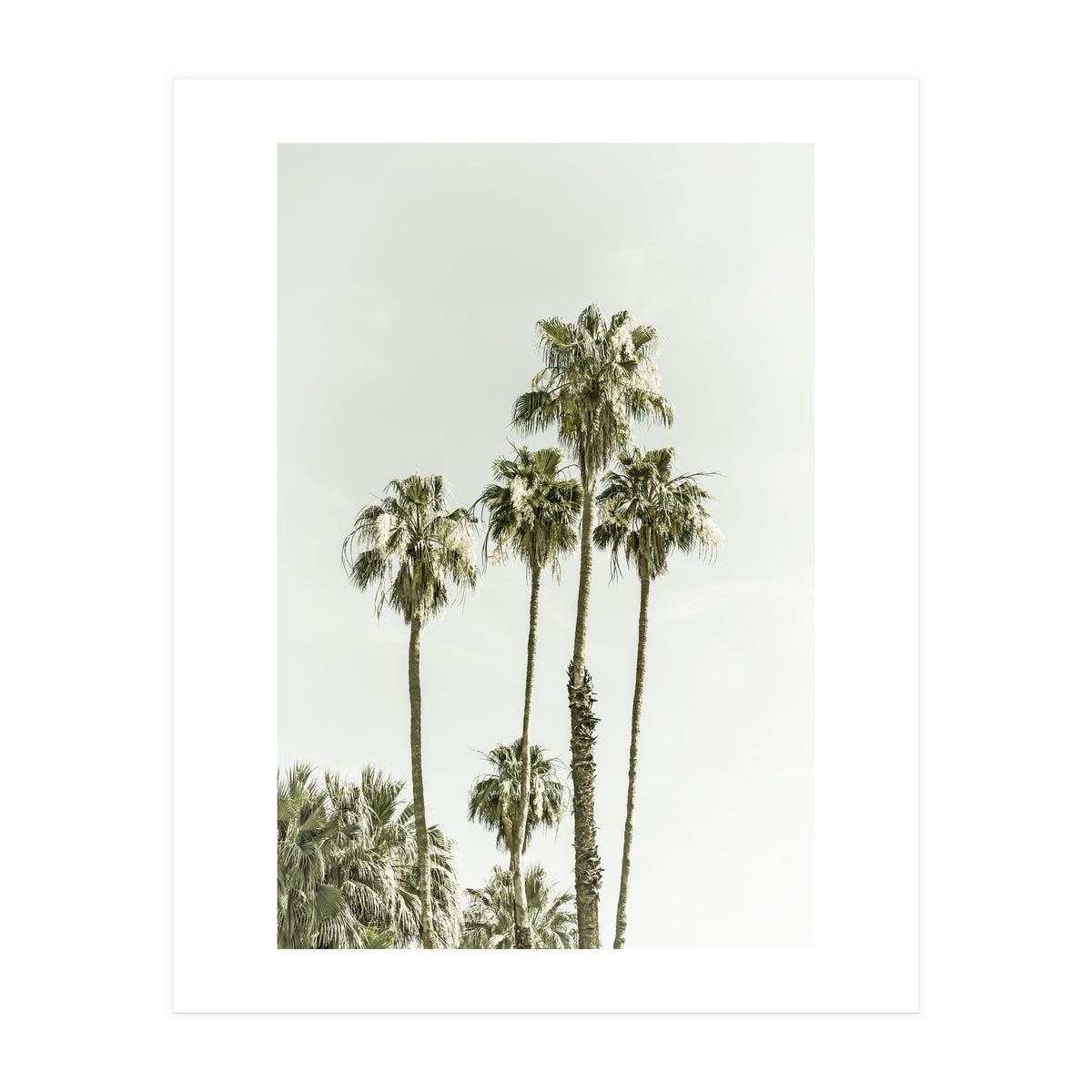 Palm Trees Summertime  (Print Only)