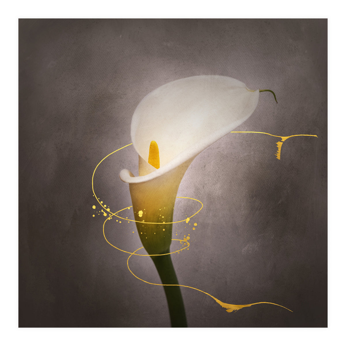 Graceful flower - Calla No. 4 | vintage style gold (Print Only)