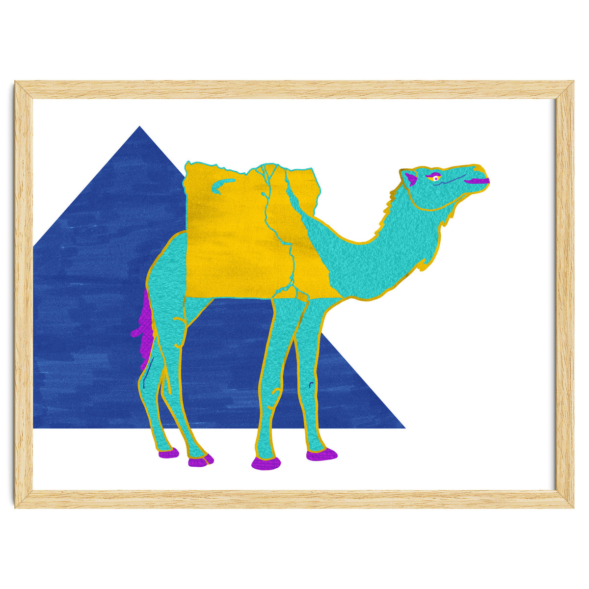 Egyptian Dromedary