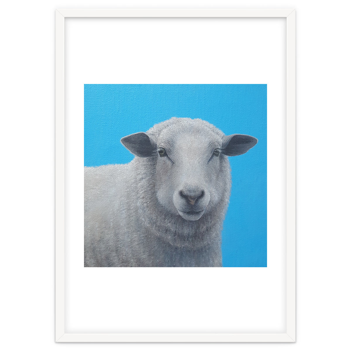 Sheep
