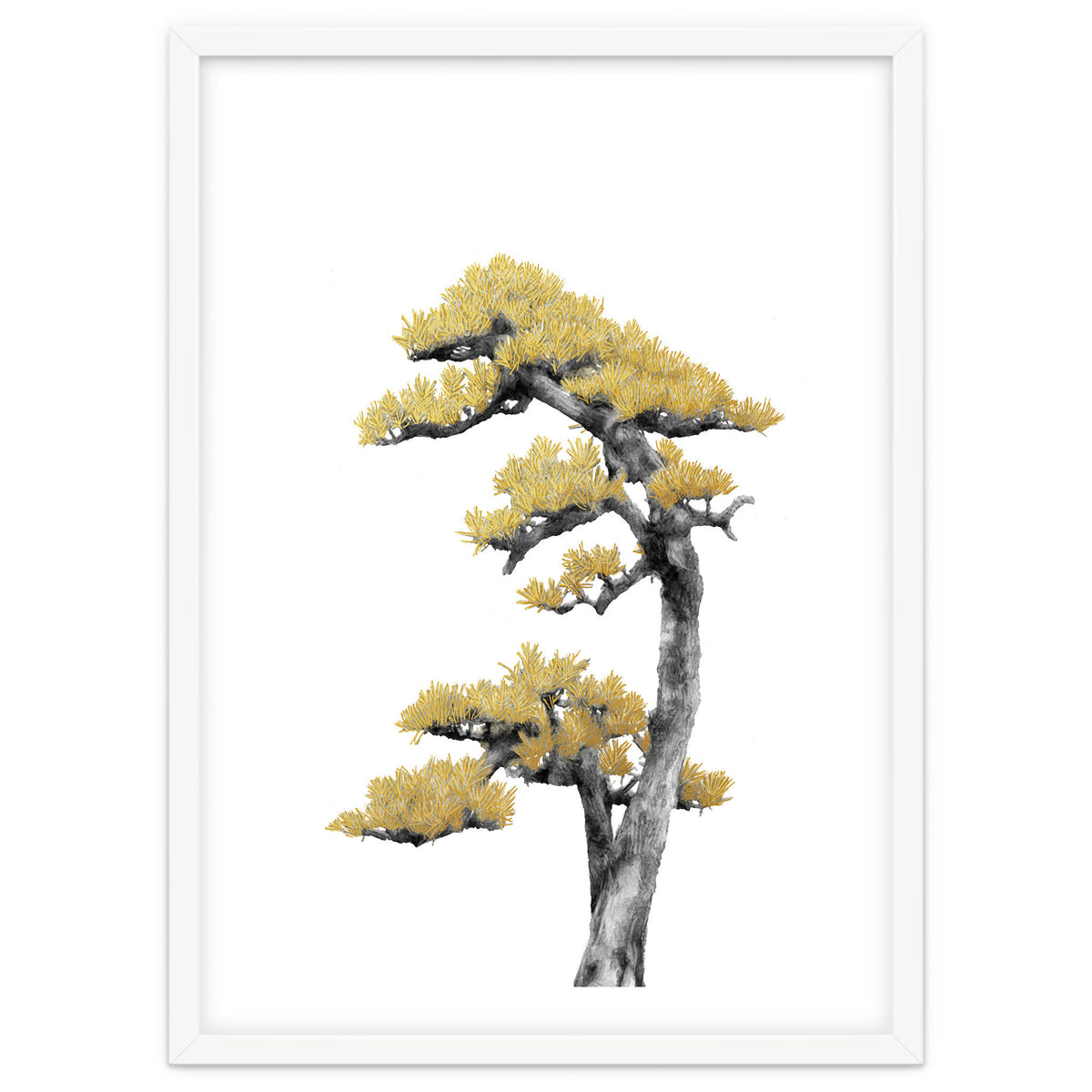 Bonsai Tree 04