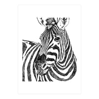 Zebra (Print Only)