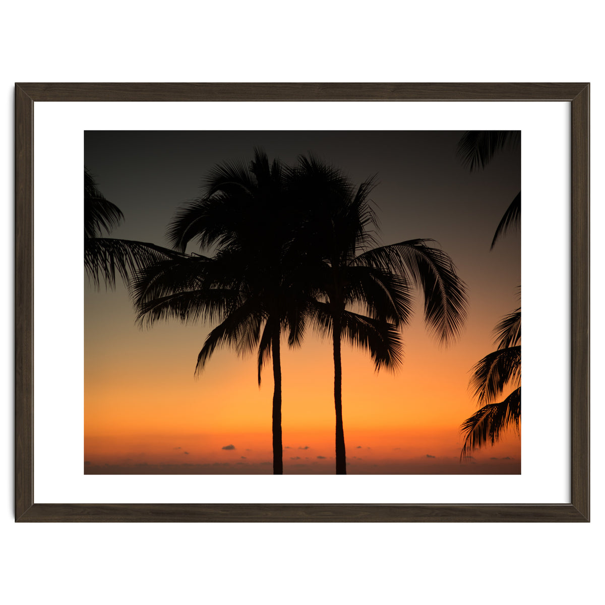 Mexico, November nights