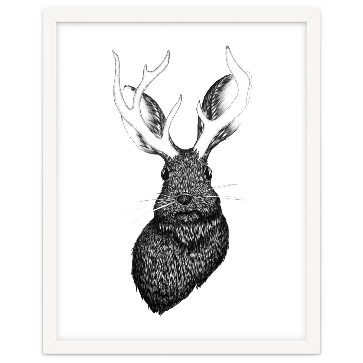 Jackalope