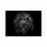 Ziggy Portrait No 1 (Print Only) thumbnail