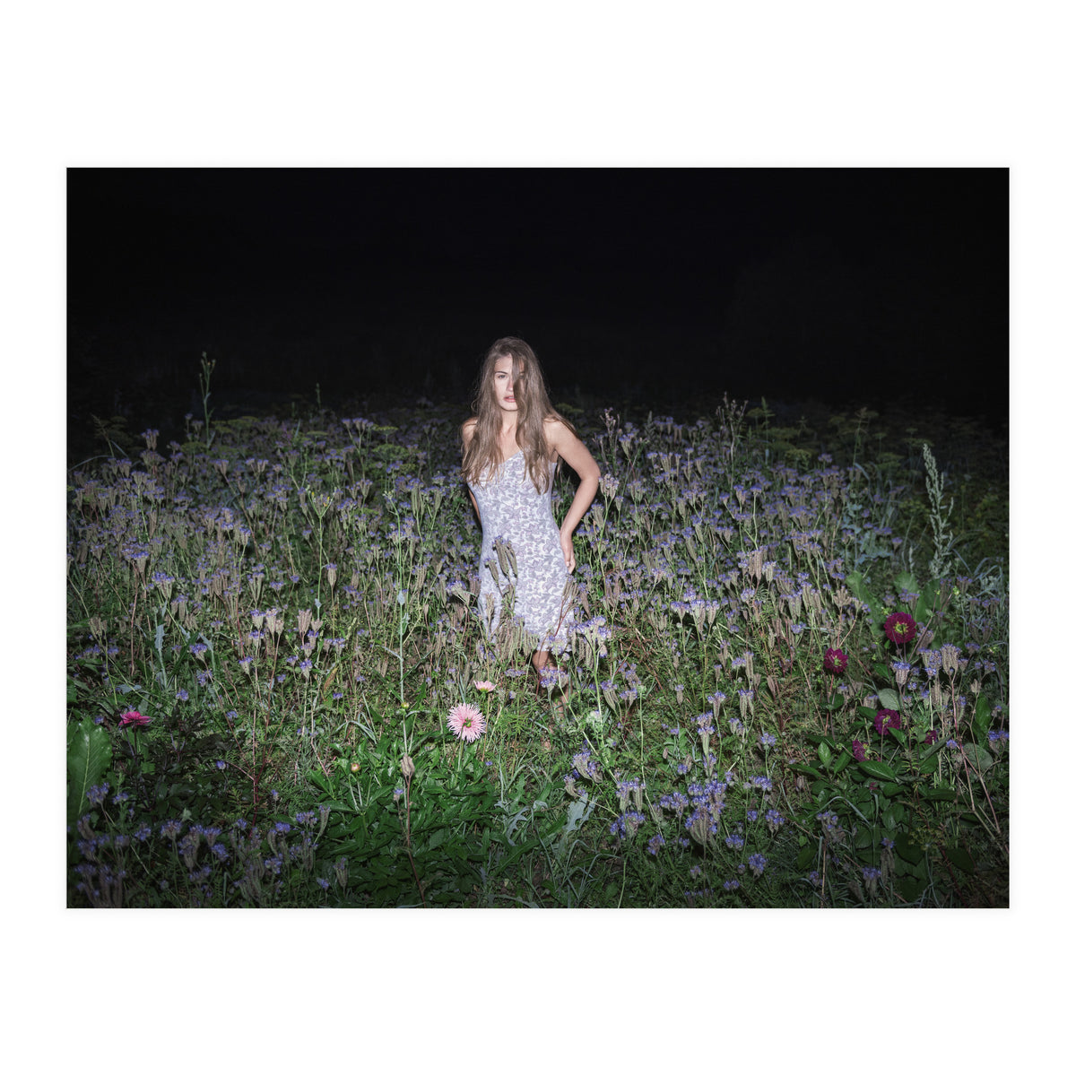 Insomnia (Print Only)